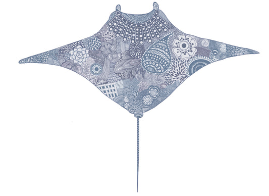 Manta Ray sticker